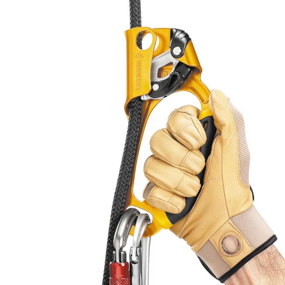 Petzl Petzl Ascension Rechts B17ARA stijgen, dalen en katrollen Petzl Ascension Rechts Yellow B17ARA stijgen, dalen en katrollen online bestellen bij Kathmandu Outdoor & Travel