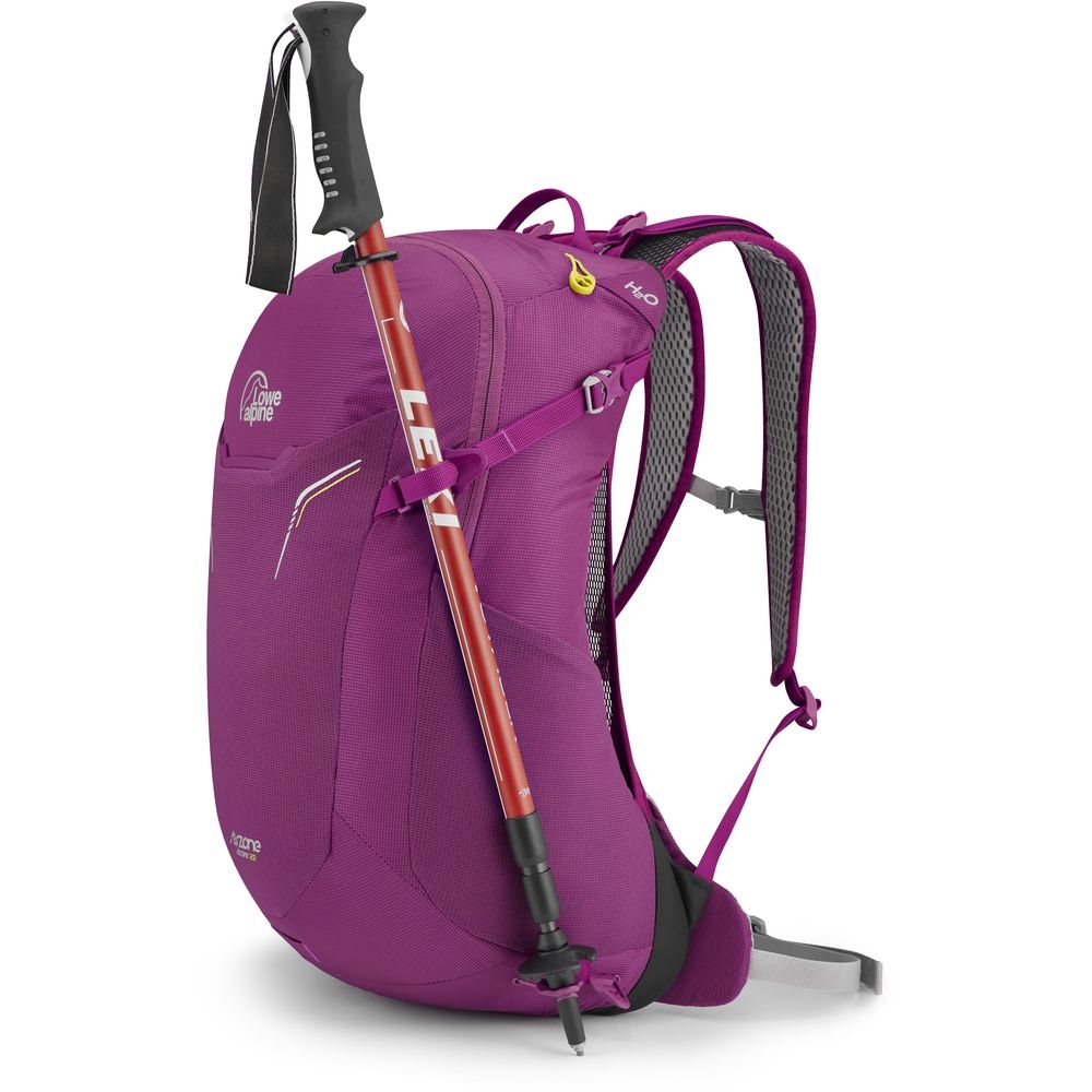 Lowe Alpine Airzone Active 22 Grape FTF-17-GP-22 dagrugzakken online bestellen bij Kathmandu Outdoor & Travel