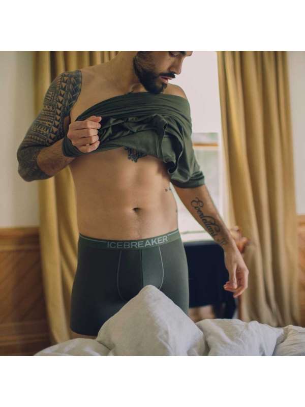 Icebreaker  Anatomica Boxers Loden