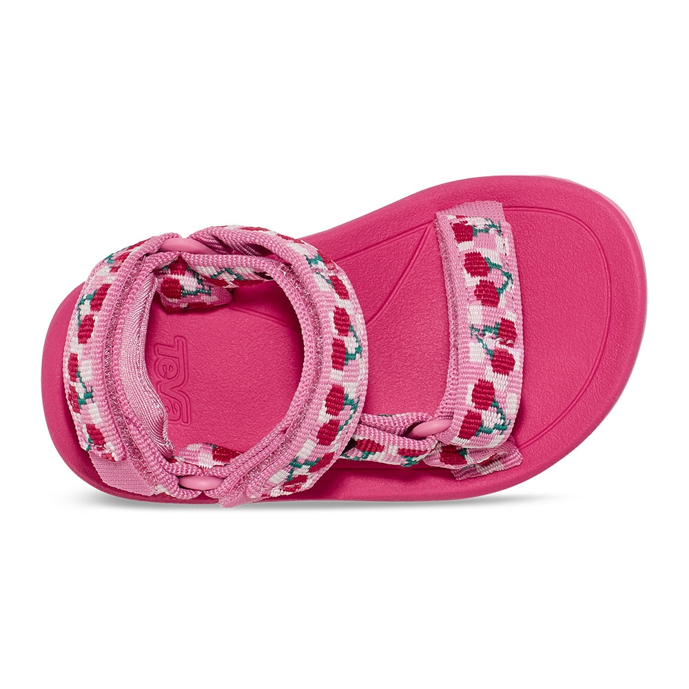 Teva Hurricane XLT 2 Toddler Picnic Cherries Rosebloom/ Bri 1019390T-PCRBW sandalen online bestellen bij Kathmandu Outdoor & Travel