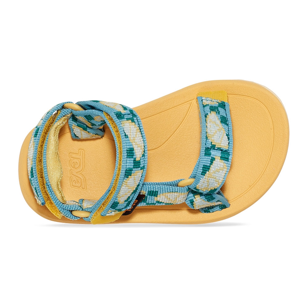 Teva Hurricane XLT 2 Toddler Picnic Slice Stillwater/ Yarro 1019390T-PSSY sandalen online bestellen bij Kathmandu Outdoor & Travel