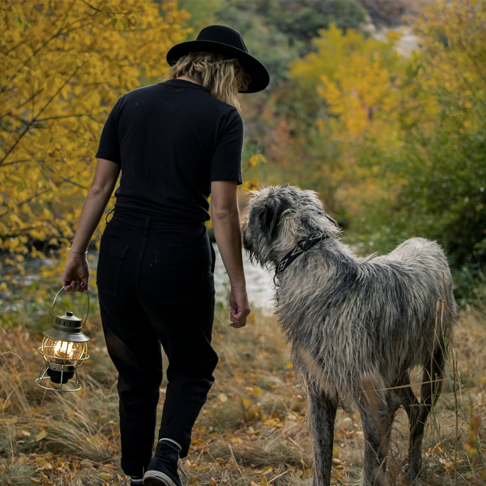 Barebones Barebones Railroad Lantern LIV-281 verlichting Barebones Railroad Lantern Olive LIV-281 verlichting online bestellen bij Kathmandu Outdoor & Travel