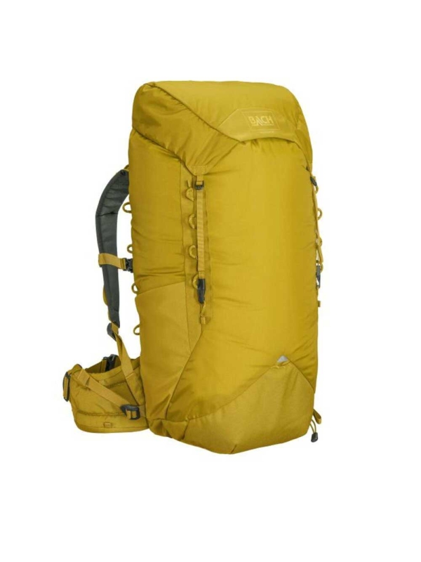 Bach  Molecule 50 Yellow Curry